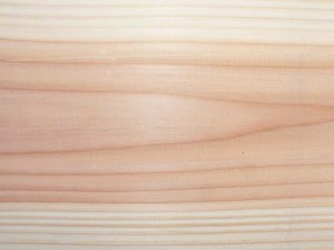 douglas ou pin d'Oregon : bois résineux